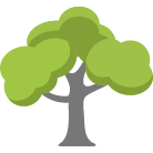 League City Tree Removal