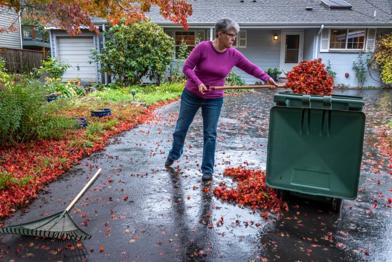 Leaf Cleanup at Property